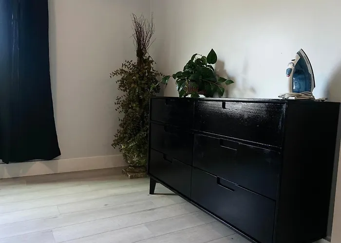 Charming Urban Oasis Located Near Downtown * Phoenix
