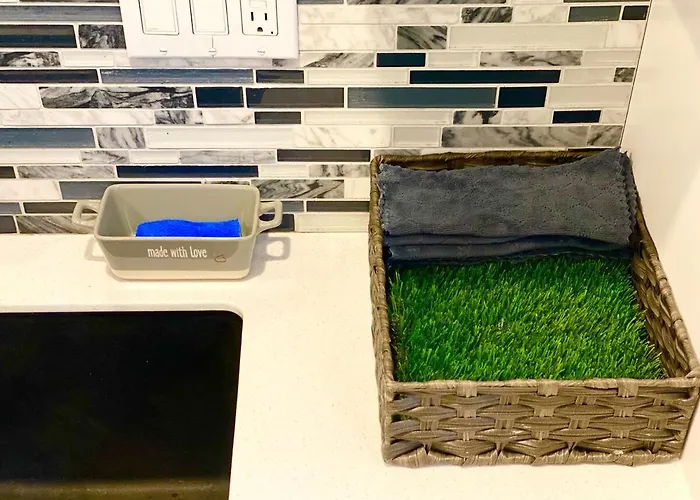 Charming Urban Oasis Located Near Downtown *